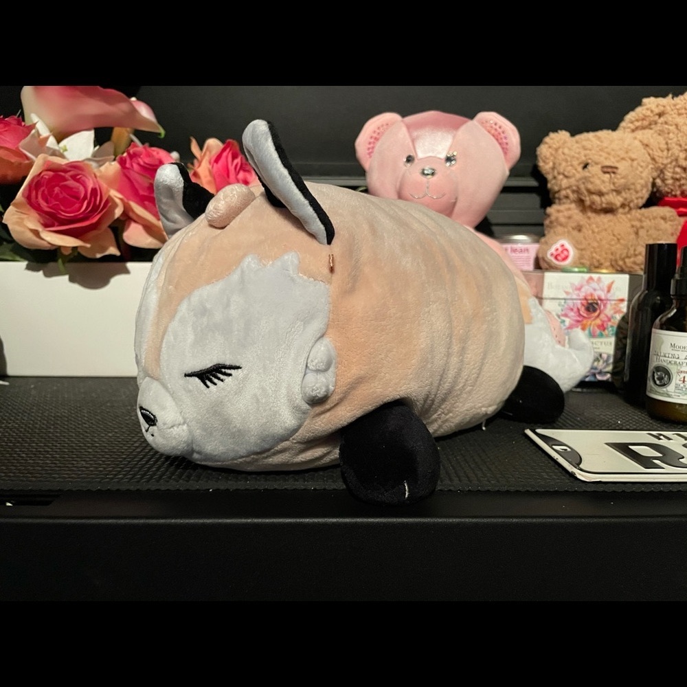 Justice Fox Squishmallow 🦊